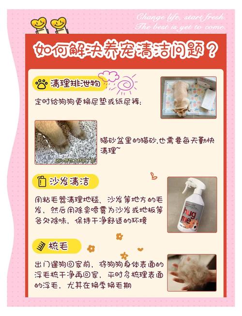 狗狗尿渍清理方法（狗尿地上发黏怎么清理）