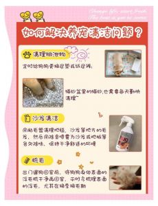 狗狗尿渍清理方法（狗尿地上发黏怎么清理）