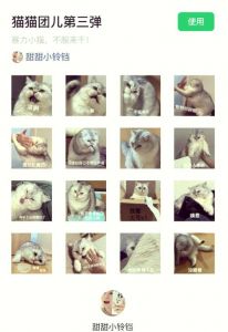 打猫不解决问题，反而伤它，温柔引导更有效（把猫打一顿能听话吗）