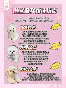 选小狗看眼神鼻头毛发，活泼友善是关键！（小狗怎么挑选出最好的）