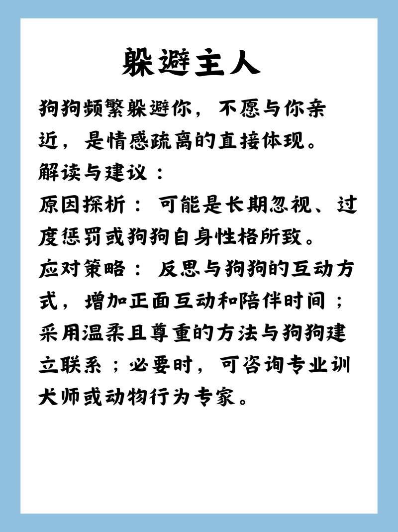 狗狗记恨主人怎么办？（狗狗记恨主人的表现）