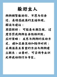 狗狗记恨主人怎么办？（狗狗记恨主人的表现）