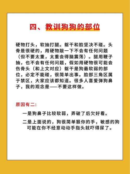 狗狗被打怕了？暴力伤它深，温柔安抚恢复信任（狗不听话打了它会记恨你吗）