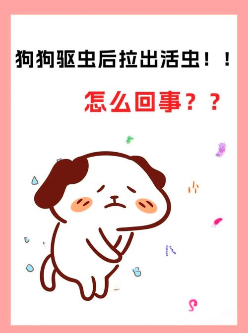 选对药算好量，幼犬小剂量，观察反应（狗体内驱虫注意事项）