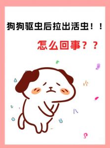 选对药算好量，幼犬小剂量，观察反应（狗体内驱虫注意事项）