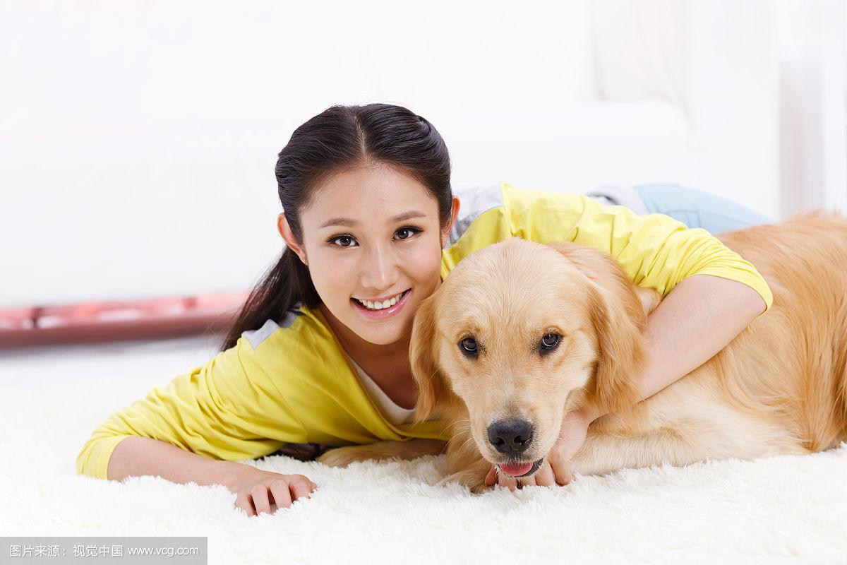 选狗狗看性格！比熊黏人泰迪聪明，选它适合你？（美女宠物狗的秘密）