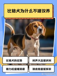 胆小犬也能成理想家庭成员（胆子小的狗狗能不能养）