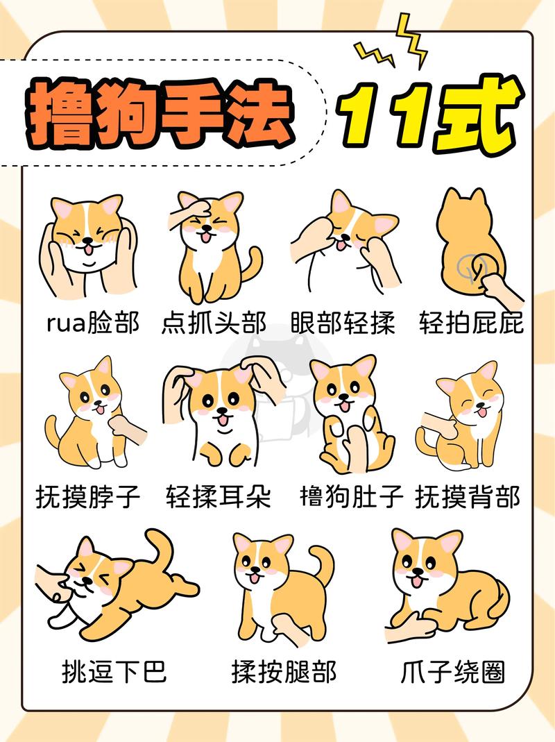 手势训练，无声沟通懂狗狗（训狗手势大全及图解）