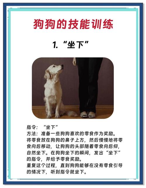 手势口令,养出好习惯增进感情(狗狗训练18个口令手势图解) 手势口令,养出好习惯增进感情(狗狗训练18个口令手势图解)