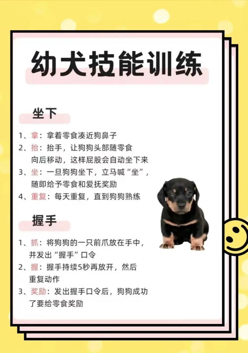 奖励为主，及时引导，家人统一标准（如何训狗的十条好方法）