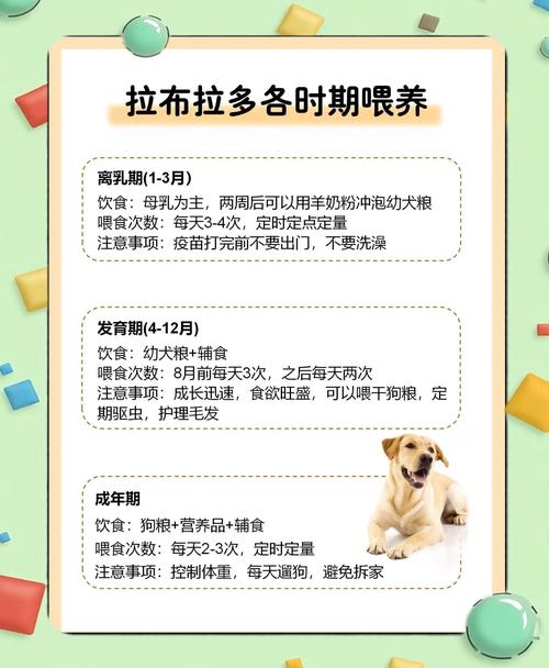 狗狗多久驱虫？幼犬更频繁！（狗狗不吃生肉多长时间内驱一次）
