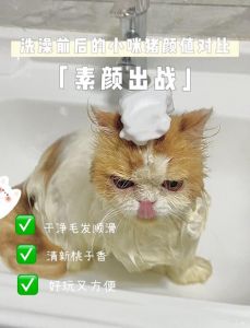 猫咪皮肤弱，别用人类沐浴露（给猫咪洗澡可以用人的沐浴露吗）