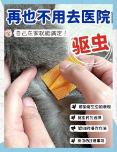 猫咪体外驱虫，选对专用药很关键！（给猫咪体外驱虫注意事项）