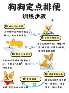 狗狗定点大小便训练技巧（狗狗怎么训练固定地方大便）