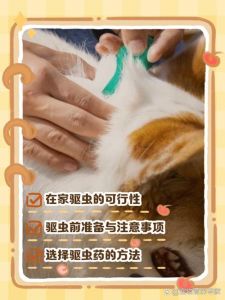 狗狗驱虫，幼犬幼犬要勤，成年按需调，内外都要做！（给狗狗内驱虫多长时间驱一次）