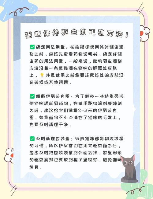 猫咪体外驱虫选对药，别用错中毒了（猫咪体外驱虫注意事项）