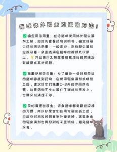 猫咪体外驱虫选对药，别用错中毒了（猫咪体外驱虫注意事项）