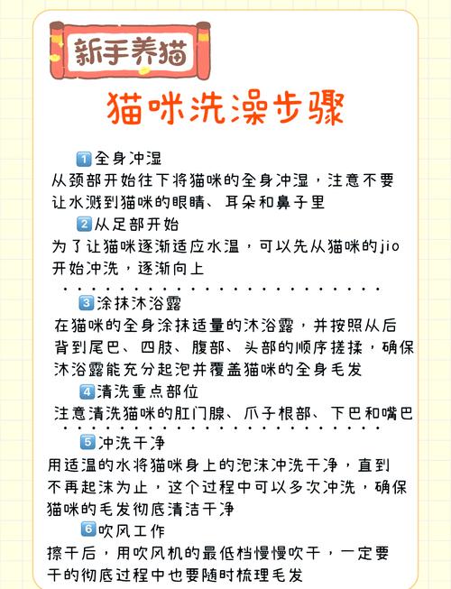 耐心细致保卫生（蓝猫洗澡的正确方法）