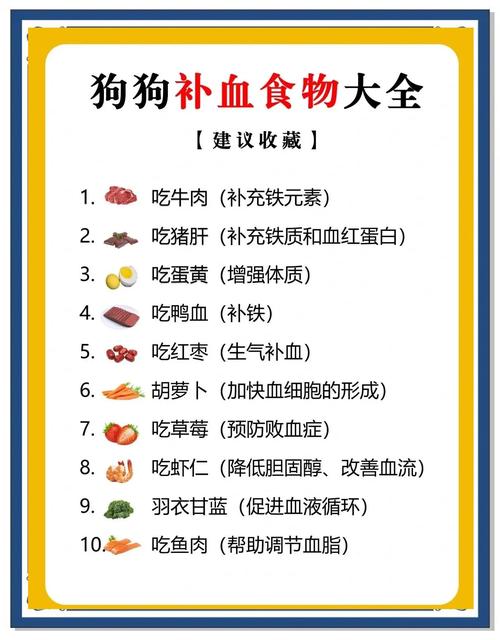 狗狗吃毛补营养，多吃鸡蛋鱼油红薯好（狗狗吃头发应该补什么）
