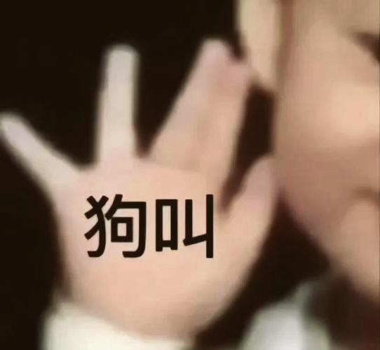 正向奖励代替打骂，建立信任快乐训练（狗叫不回来使劲打它）