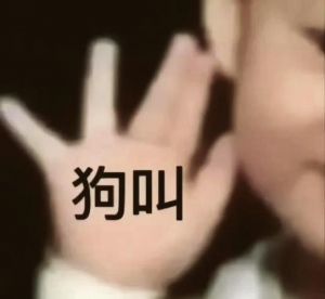 正向奖励代替打骂，建立信任快乐训练（狗叫不回来使劲打它）