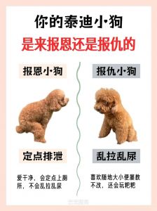 情感+生理+进化，守护你的小秘密（为什么狗狗不会背叛主人）