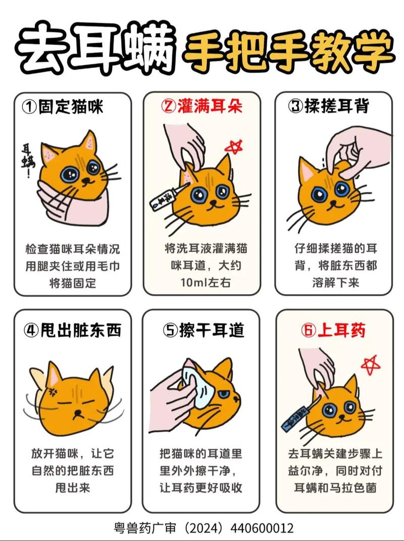 猫咪洗澡防水耳罩护耳朵（如何防止洗澡水进猫咪耳朵里了）