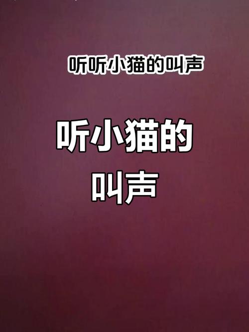 猫叫声丰富，听三花猫叫，感受猫咪情绪（猫叫声大全 60秒）