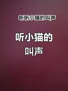 猫叫声丰富，听三花猫叫，感受猫咪情绪（猫叫声大全 60秒）