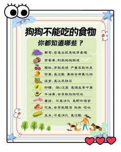 狗狗驱虫后2小时再喂食，注意观察，定期驱虫很重要！（狗狗吃完内驱多久可以吃饭）