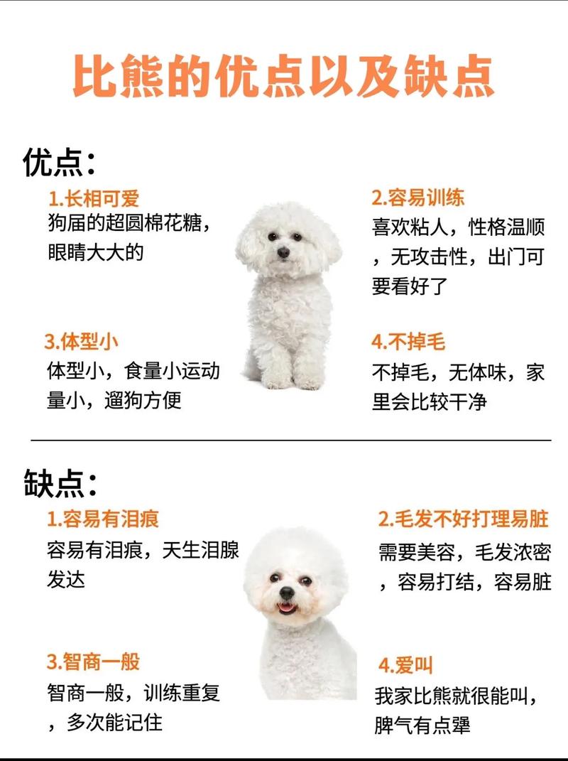 选对狗狗品种很重要（选狗的正确方法和技巧）