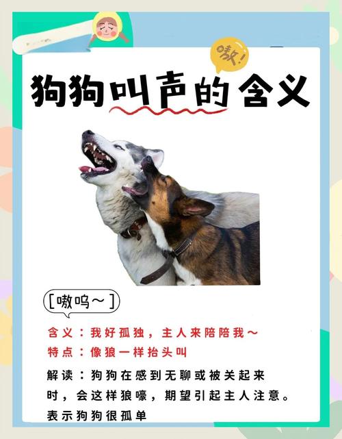 狗狗叫声有啥不同？品种性格都有关！（不同品种狗狗的叫声）