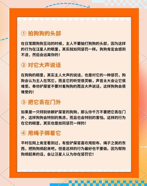 即时一致适度惩罚法（狗狗不听话怎么惩罚）