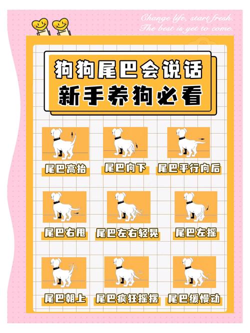 Traini获750万美元融资，AI项圈助人懂宠物心声（51戴上项圈尾巴学狗叫）