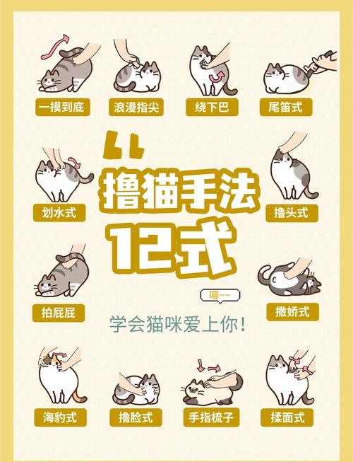 平等尊重才是亲密关系基石（如何训练女朋友当宠物）
