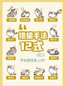 平等尊重才是亲密关系基石（如何训练女朋友当宠物）