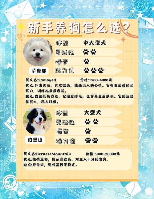 品种性格健康，适合家才养（如何选一只好的小狗）