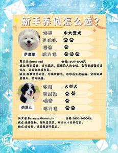 品种性格健康，适合家才养（如何选一只好的小狗）