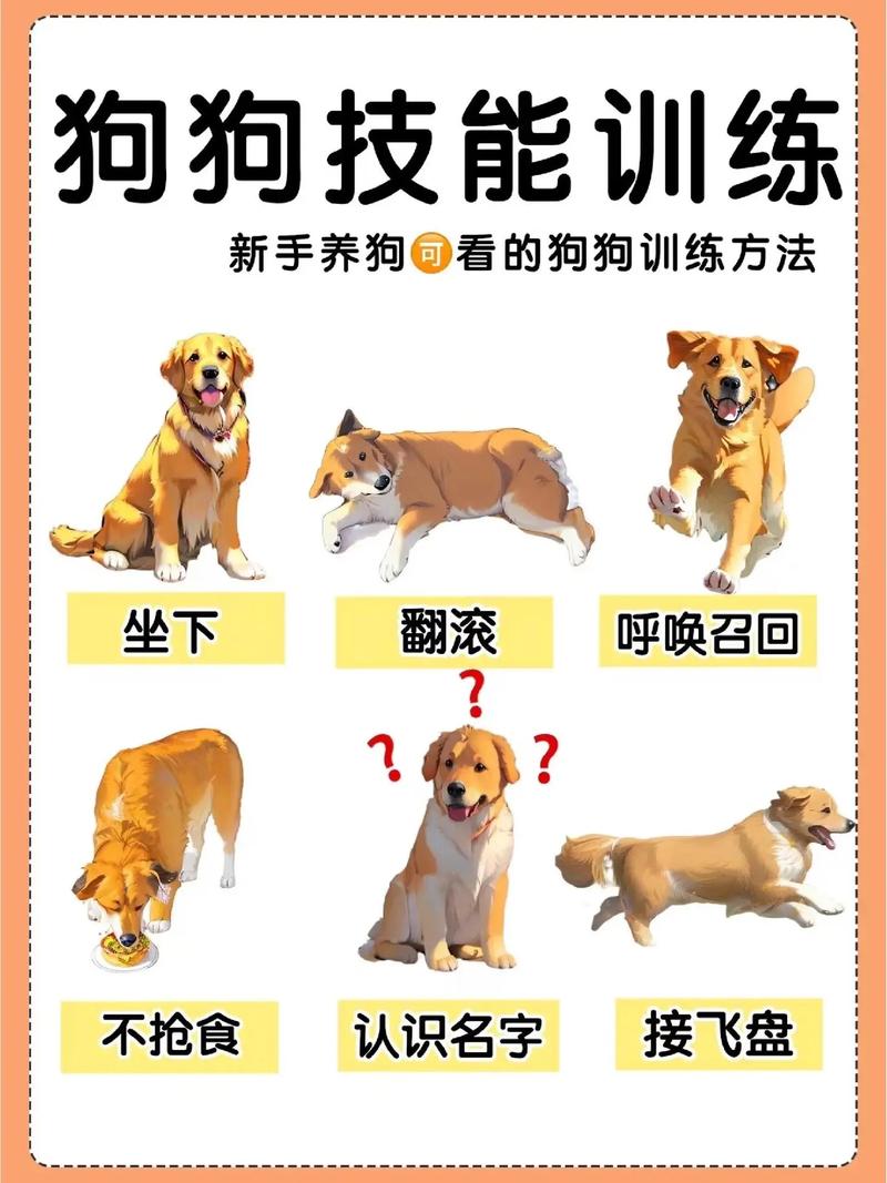 揭露残酷手段如何摧毁人性使人屈服（人训练成一条狗最简单三个步骤）