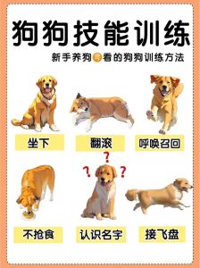 揭露残酷手段如何摧毁人性使人屈服（人训练成一条狗最简单三个步骤）