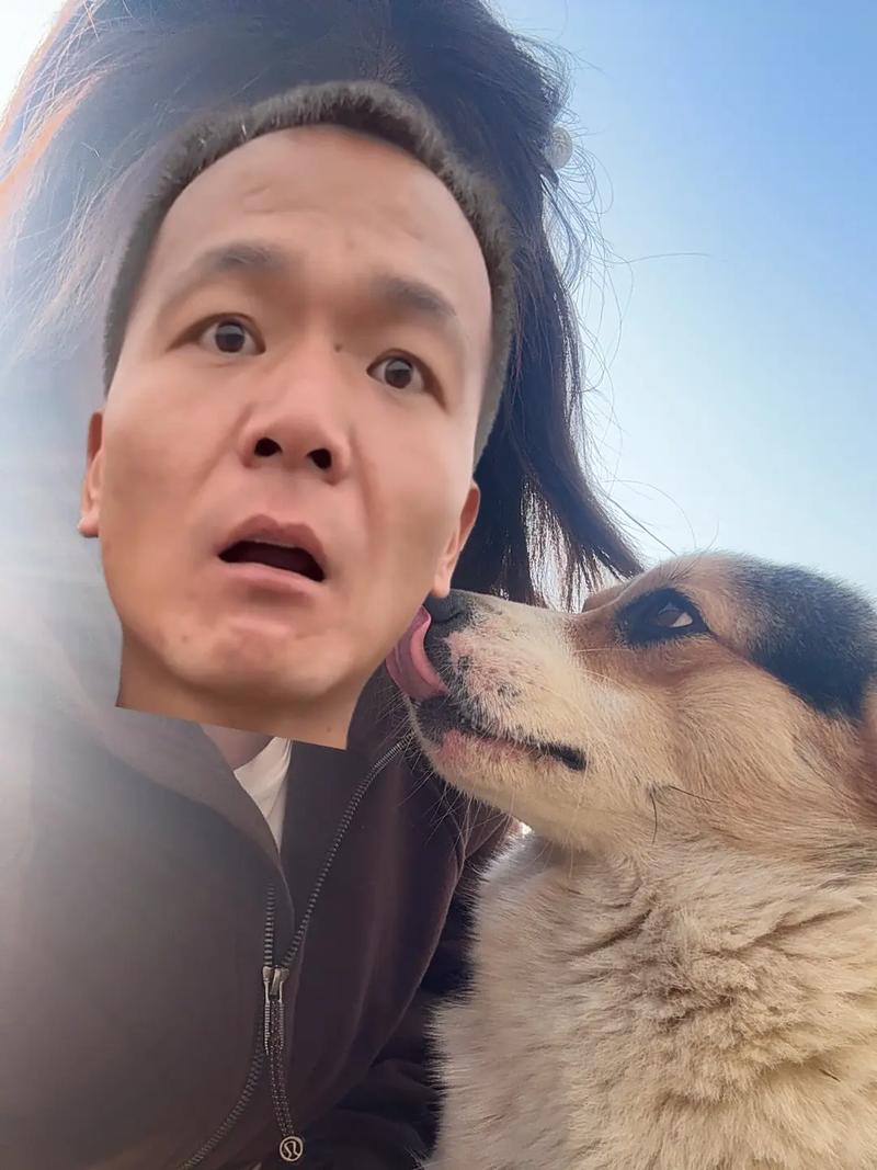 从网红到被告，训狗商业化引深思（抖音训狗的博主）