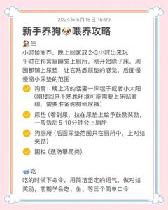 科学K9训练，循序渐进有温度（训狗每日任务计划表k9）