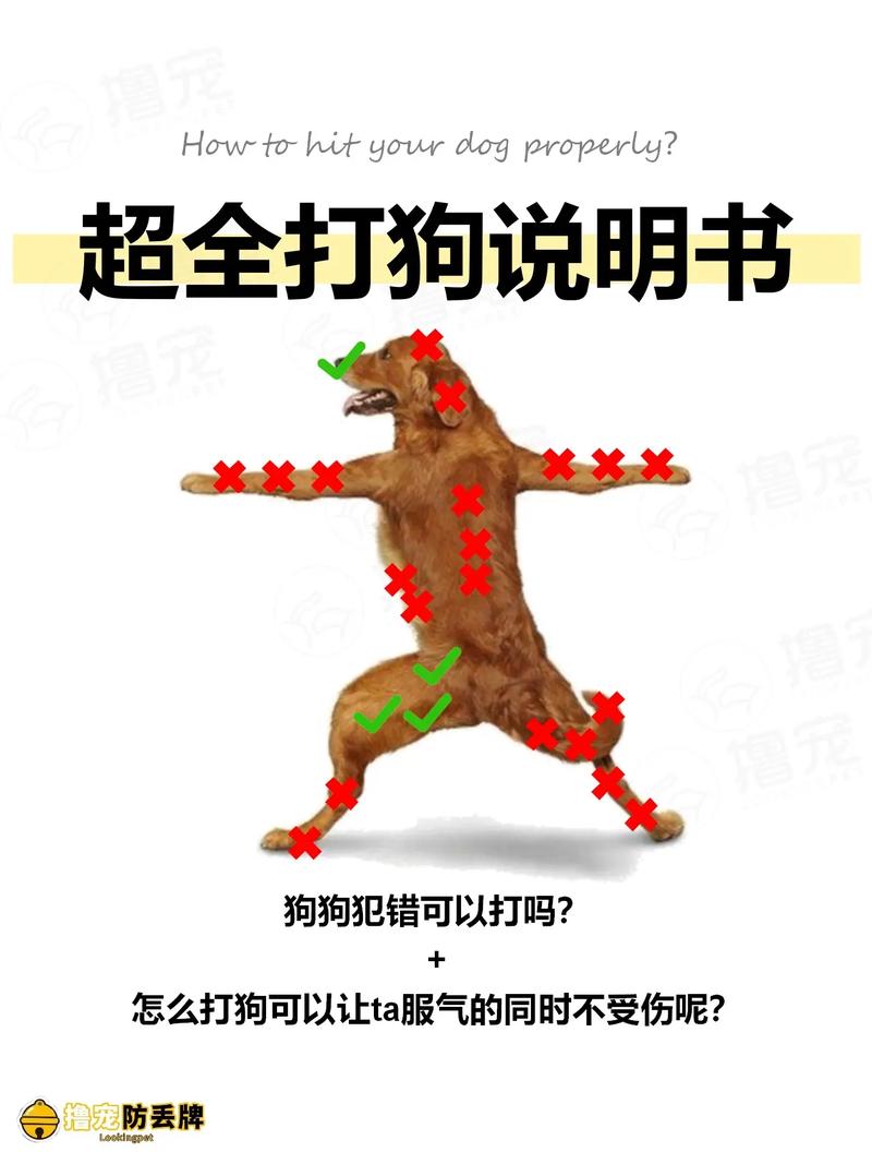 科学矫正犬行为，即时惩罚有方，防御恶犬保安全（打狗的正确方法和技巧）