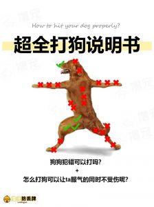 科学矫正犬行为，即时惩罚有方，防御恶犬保安全（打狗的正确方法和技巧）
