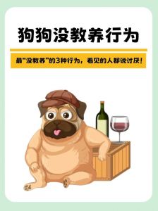 科学管教不听狗，不打骂更有效（不听话的狗是要好好管教）
