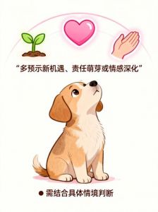 选陪伴责任，运势提醒需警惕（梦见自己在挑选小狗）