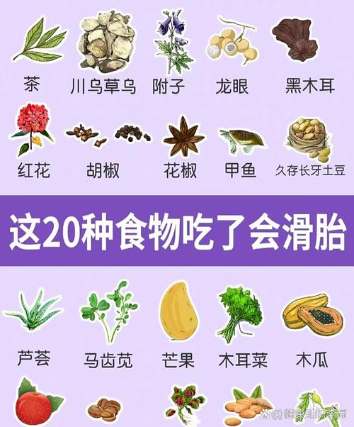 禁忌食物与喂养要点（狗狗怀孕吃什么会流产）