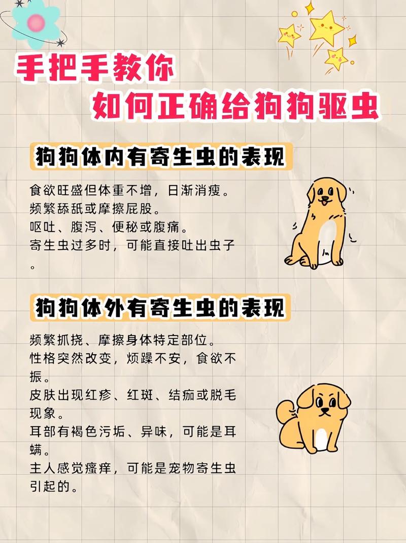 13岁老狗驱虫，看健康环境，遵医嘱！（13岁的狗狗需要好久驱一次虫）