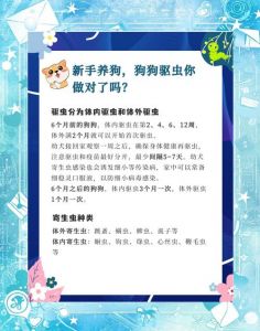 驱虫后24-48小时再洗澡，注意用药说明！（小狗外驱虫后多长时间可以洗澡）