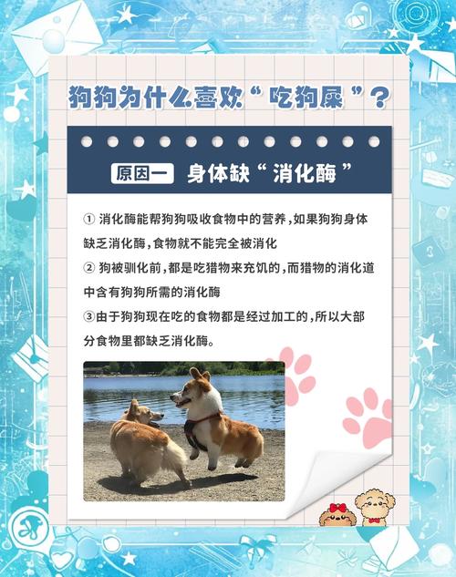 大狗吃幼崽原因多，了解天性科学护幼崽（大狗会在什么情况下选择吃小狗）